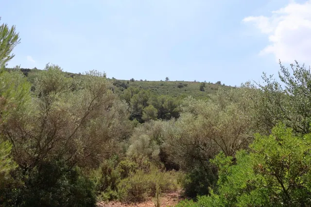 MASIA RUSTICA EN DOS HECTAREAS DE TERRENO ZONA POU DE BECA — 29