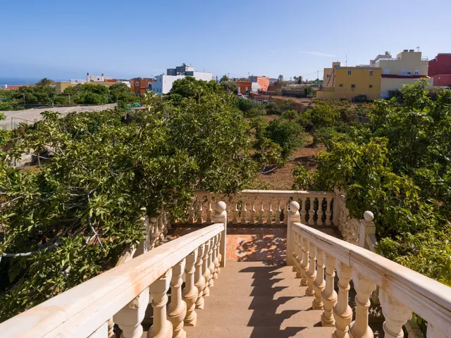 Finca rústica con amplia vivienda y azotea en Las Mejías – Ingenio, Gran Canaria — 5