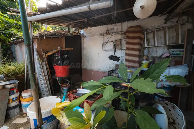 Finca rústica con casa terrera y vistas al mar en tierra del trigo, los silos — 23