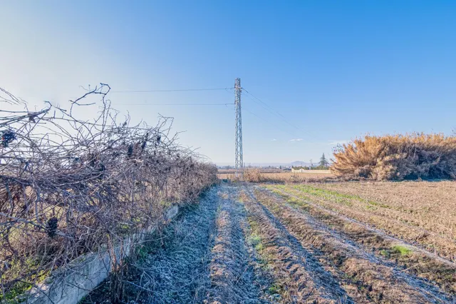 Excelente finca de regadío en la Vega de Granada, con acceso directo — 14