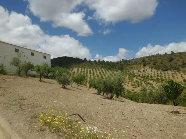 Finca Rústica, LOS GOMEZ, JARALES — 8