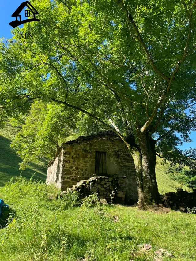 CABAÑA PARA REFORMAR EN EL CORAZÓN DE SELAYA - foto 4