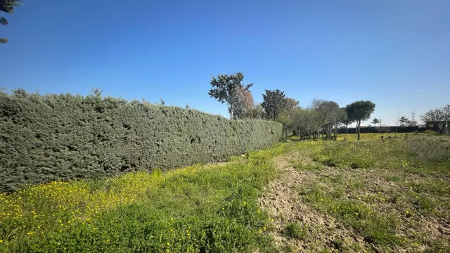Terreno rural 10m² en alquiler - San Nicasio — 18