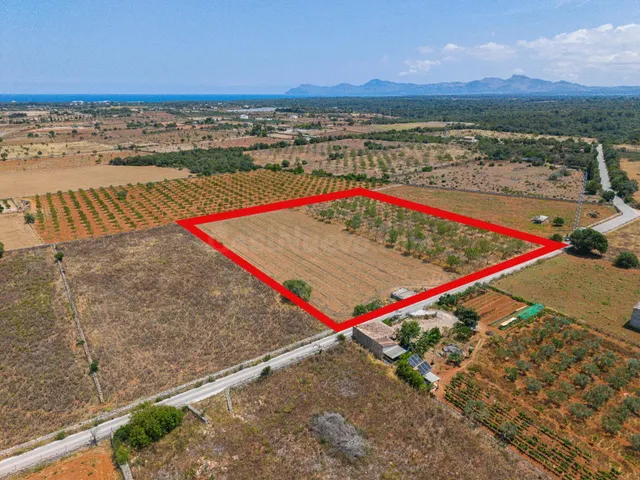 Terreno urbanizable en Can Picafort CON LICENCIA Y PROYECTO  - foto 2