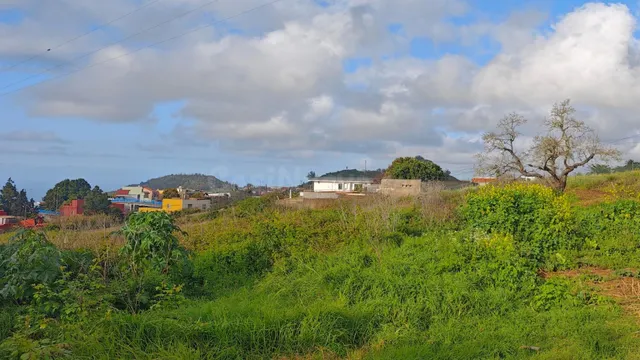 TERRENO URBANIZABLE EN AGUA GARCIA (TACORONTE) - foto 4