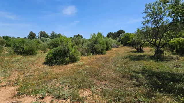 VENTA DE 3 PARCELAS AGRUPADAS CON POSIBILIDAD DE CONSTRUIR UNA VIVIENDA UNIFAMILIAR !! — 16