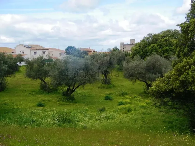 Solar urbano de 5.347 m2 para 16 chalets junto al Pantano de Valdecañas — 6