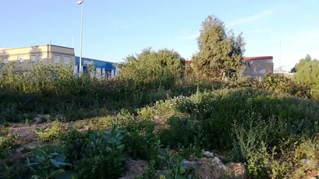 Solar en venta de procedencia bancaria — 6