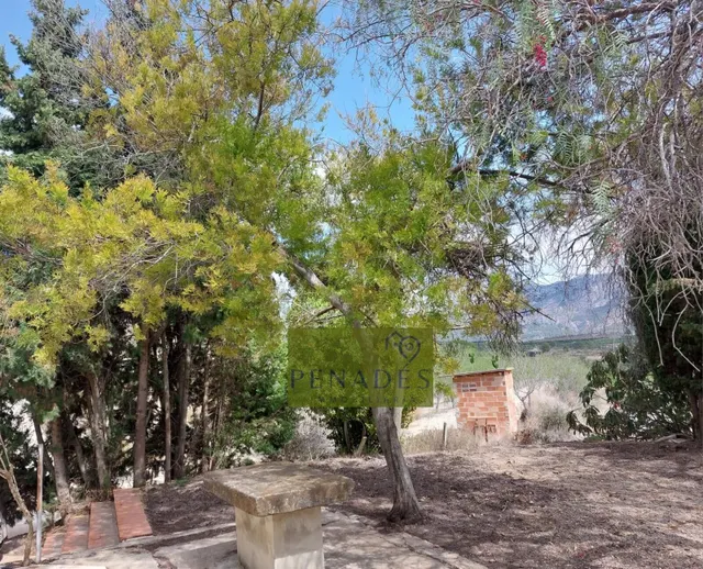 Espectacular Finca en Venta en Bèlgida — 39