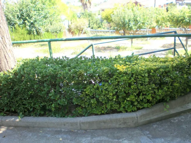 PARCELA DE 560M2 EN CAN RIAL DE ESPARRAGUERA - BARCELONA — 3