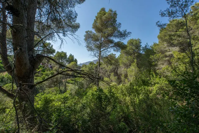 Parcela en venta - Montañar I — 3