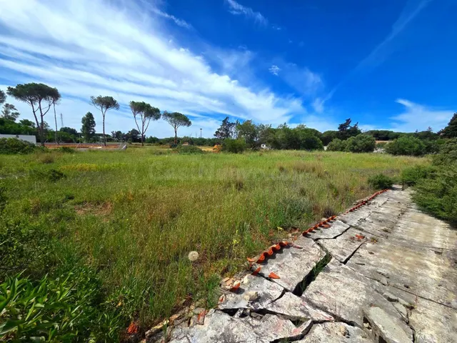 PARCELA EN VENTA EN CAMPANO - 2.625 M2 SEGREGADA A PIE DE CA - foto 3