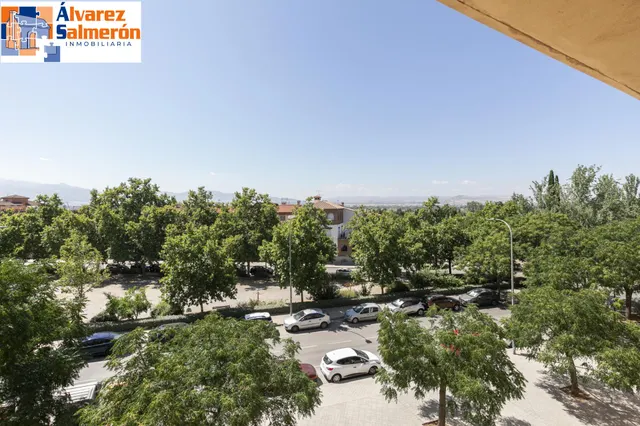 Excelente piso con vistas despejadas a sierra nevada — 21