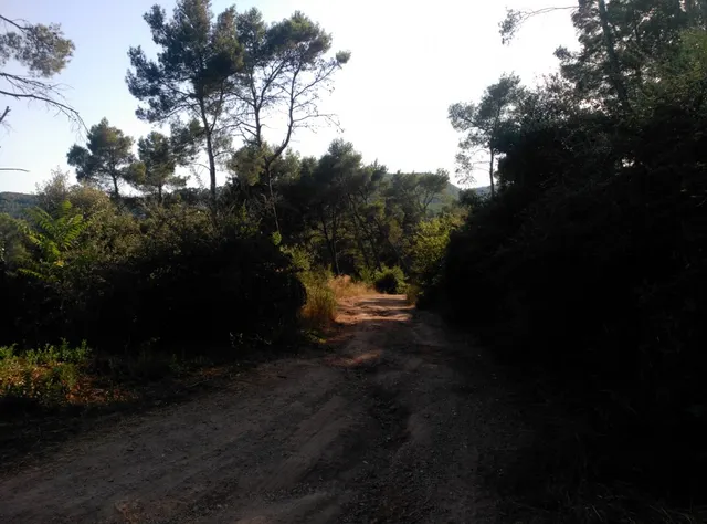 Espectacular terreno que da a dos calles, en Corbera de Llobregat, cerca Hotel Can Fisa. — 25