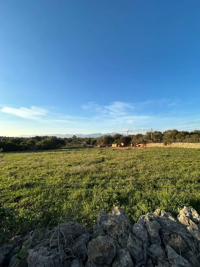 FINCA RÚSTICA EN SINEU — 2