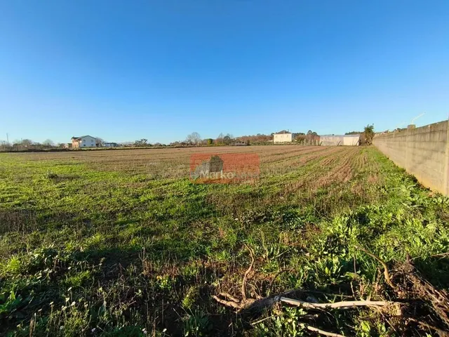SE VENDE FINCA EDIFICABLE PARA CHALETS CERCA DE NADELA - foto 2