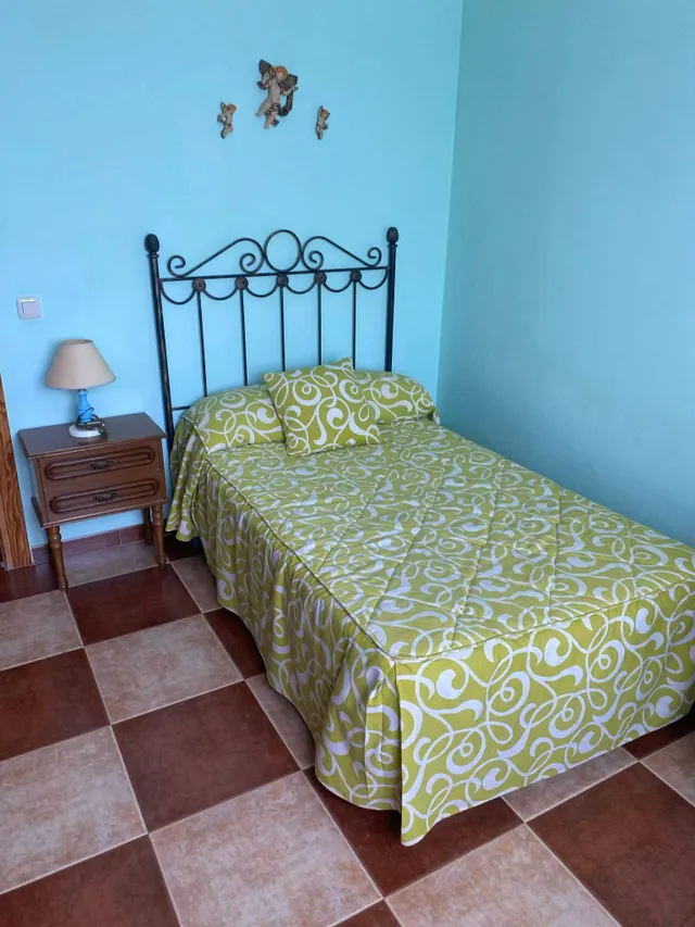 SE VENDE CASA EN LA ZONA DE CALZADA DE CALATRAVA — 23