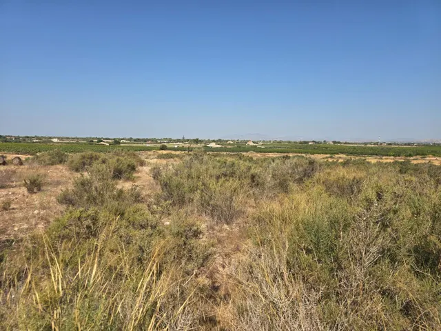 Parcela rustica en Valverde Alto con agua de riego ideal par - foto 3