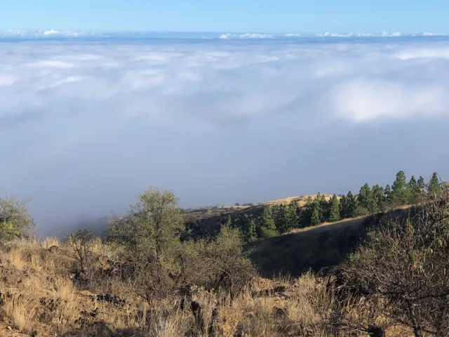 Terreno rústico con encanto y vistas espectaculares — Fasnia, Tenerife — 23