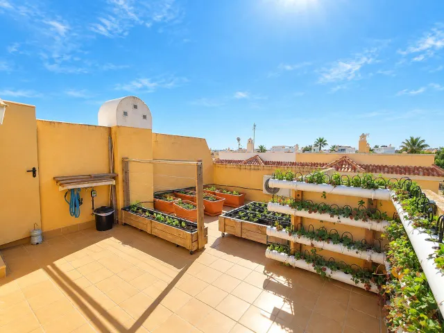 ADOSADO DE 4 DORMITORIOS Y 2 BAÑOS EN CIUDAD QUESADA (ALICANTE) — 13