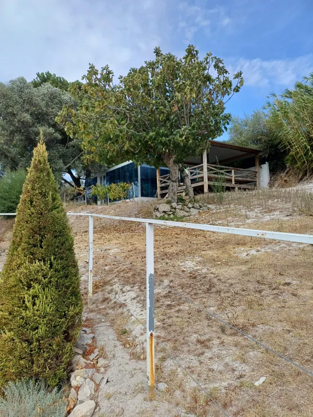FINCA DE RECREO EN VENTA – PEDANÍA DE JEREZ — 8