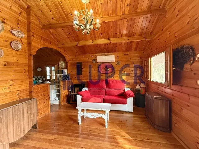 ✨ Una finca única para quienes buscan mucho más que una vivienda, en Alicante Tangel. — 40