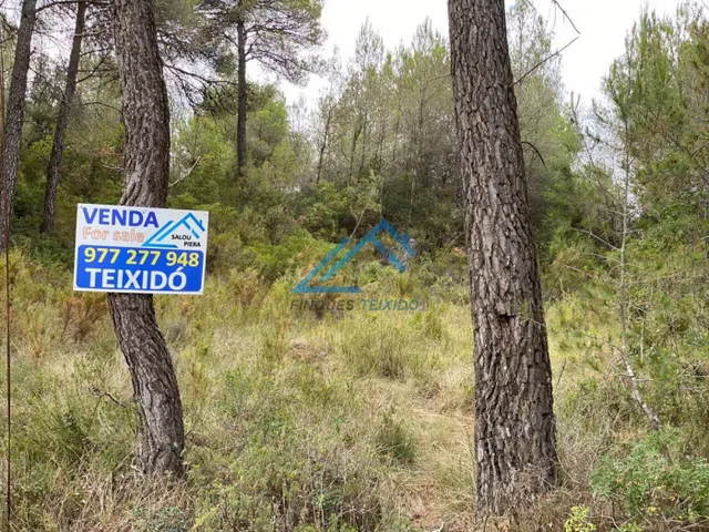 Terreno de 1000 m2 en venta en Montmell, Tarragona. - foto 3