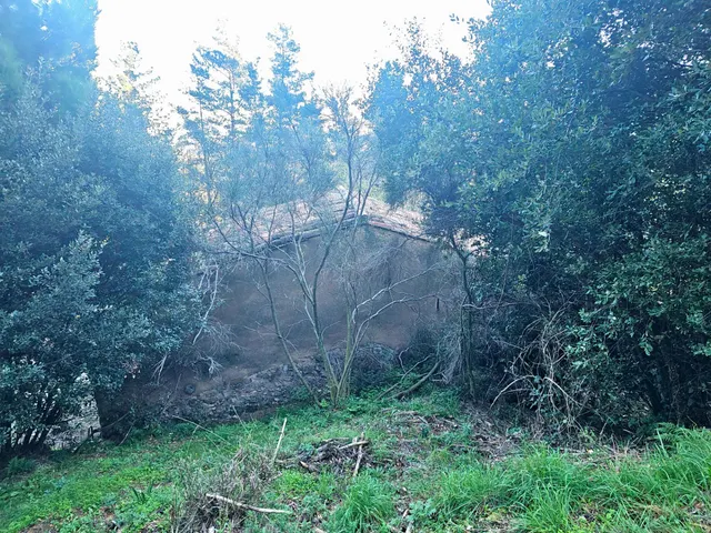 Parque natural del montseny (afueras riells): masía típica catalana catalogada a reformar — 27