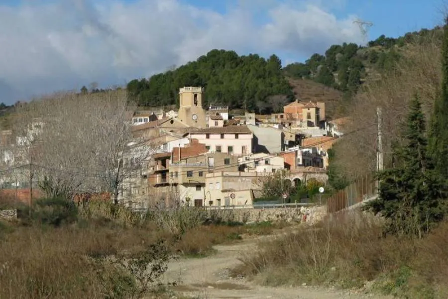 TERRENO RÚSTICO DE SECANO DE AVELLANOS - RIUDECOLS