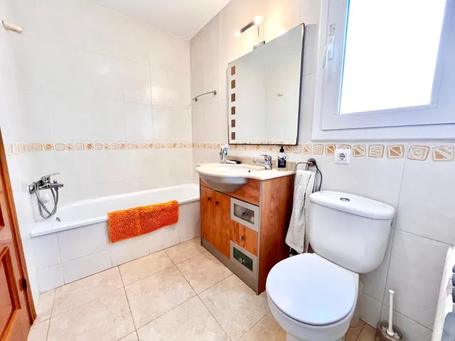 Casa o chalet independiente en venta en Calle Amadeu Vives — 16