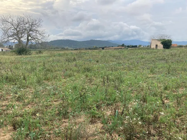 Dos parcelas rústicas juntas entre Tordera y Blanes — 4