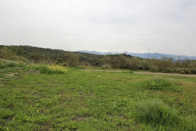 FINCA EN CORTIJO SAN JERÓNIMO (BARTODANO) — 14