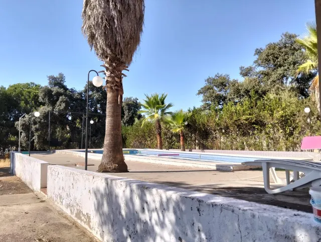 E ✨ chalet exclusivo en La Carlota | 478 m2 + 2.300 m2 de parcela | piscina privada y pozo — 43