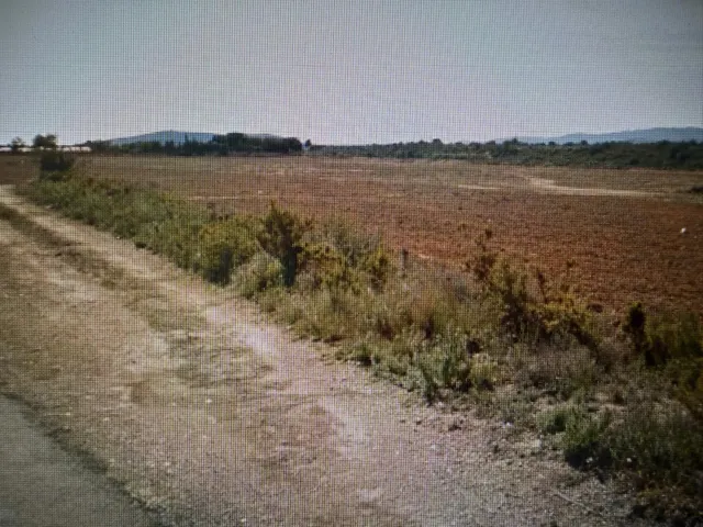 Terreno rustico con caseta - Vinaros - Castellón - foto 3