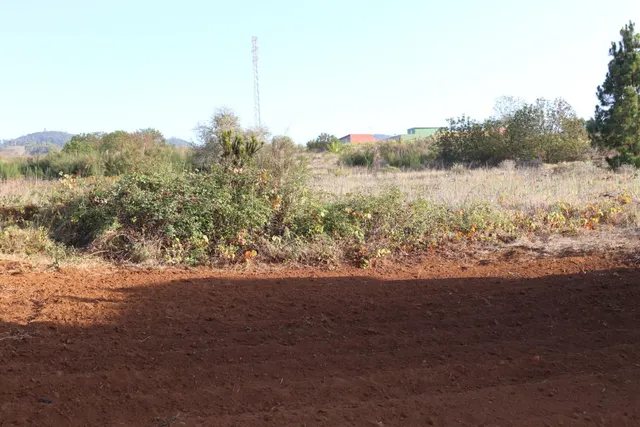 SOLAR URBANO CON FINCA RUSTICA — 9