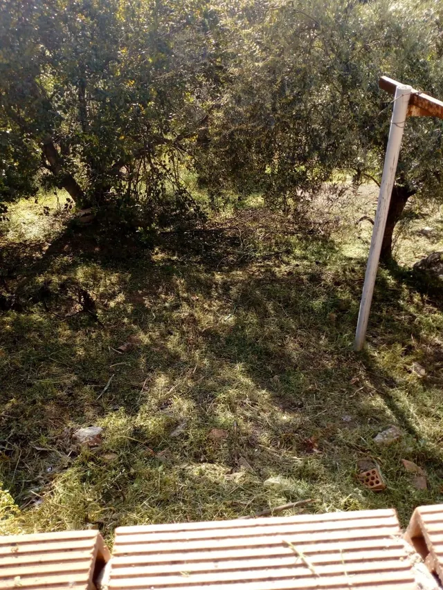 Finca rústica a la venta en Comares — 15