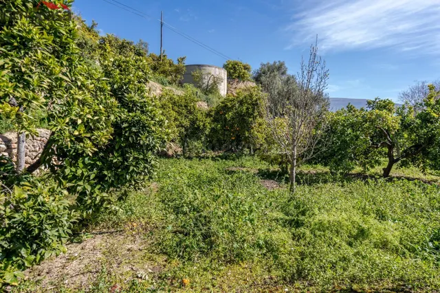 TERRENITO LOS NARANJOS A LA VENTA EN SALERES!!!!!!!!! - foto 4