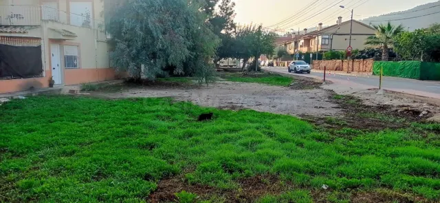 Se vende solar urbano en pleno corazón de San José de la Veg - foto 2