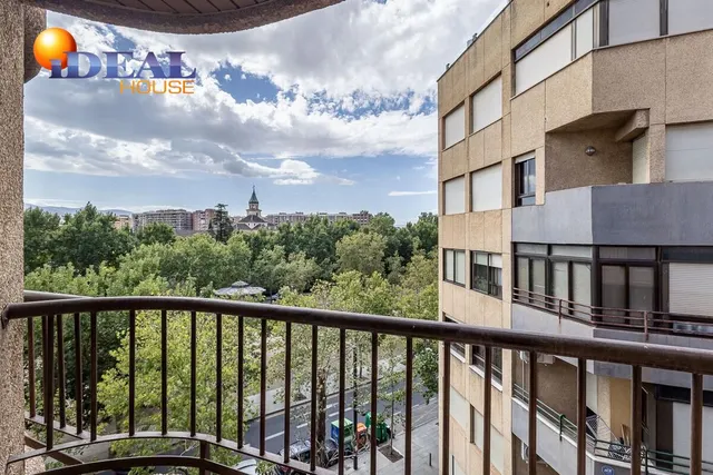 Pisazo en paseo del salón - Granada — 22