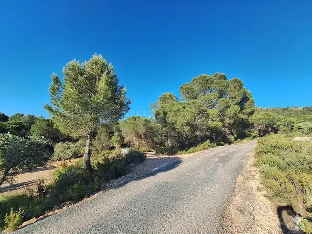 Terreno rústico a solo 3 km de Biar | Posibilidad de construir vivienda y conectar a agua y electricidad — 2
