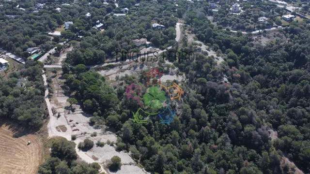 13 parcelas únicas a partir de 1088m2, desde 70.000€ - foto 4