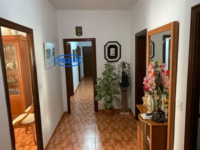 Típica casa tradicional de campo situada sobre terreno URBANO!  de 3900m2 — 20