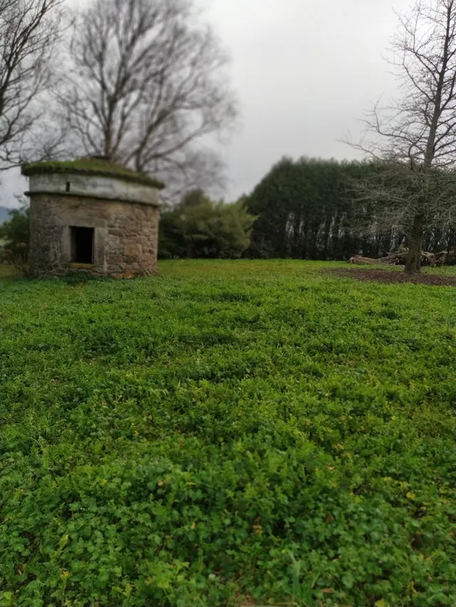 SE VENDE CASONA SINGULAR CON TERRENO DE 22.000 MTS EN OZA — 37