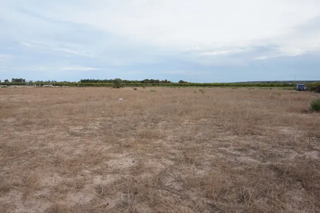 AMPLIA PARCELA DE 13000 M2 ZONA DE LA HOYA — 9