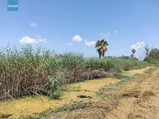 Terreno Rústico 11000m² en venta - Playa almarda - foto 2