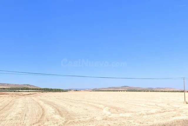 Olivar en Esquivias - foto 2