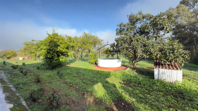 FINCA RUSTICA DE 32.000 M2 EN GIBRALEÓN CON CASA — 8