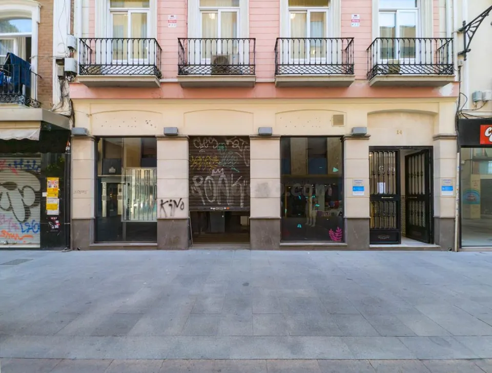 ¡OPORTUNIDAD ÚNICA EN PLENO CENTRO DE GRANADA!