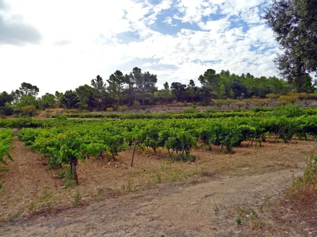 Bodega en venta en Jalon — 23