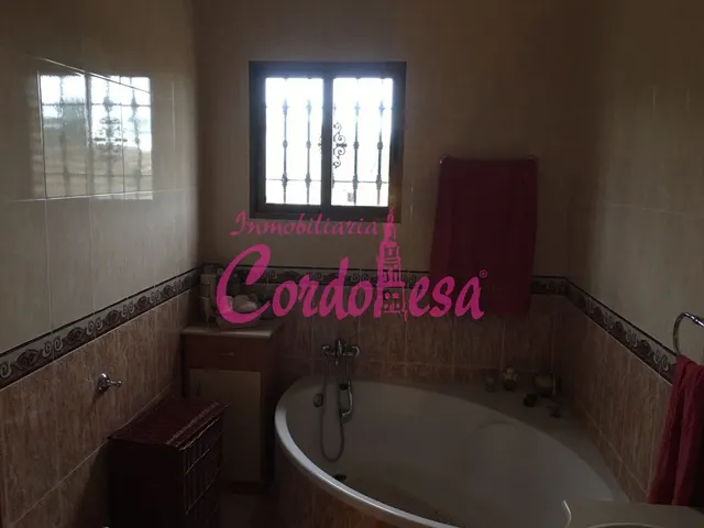 MAGNIFICA CASA EN ALCOLEA. — 11